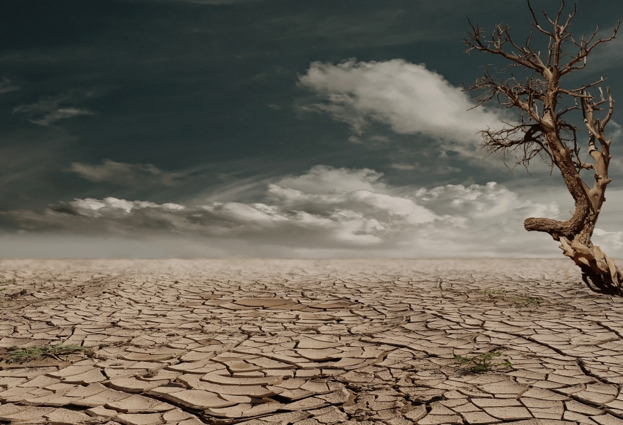 UNIDAD DID&Aacute;CTICA SOBRE CAMBIO CLIM&Aacute;TICO