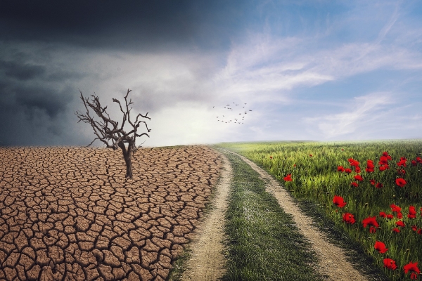 Climate Change