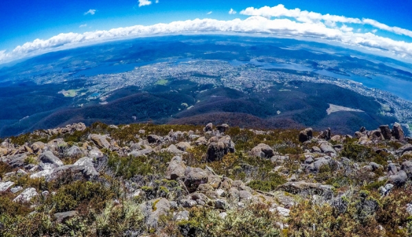 Education and COVID-19