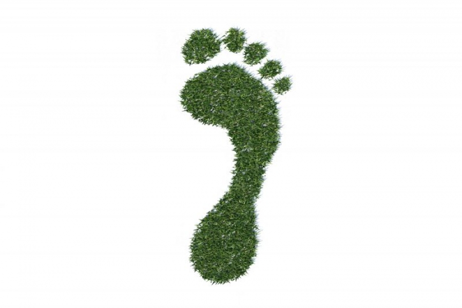 8 tips to breathe cleaner air and reduce carbon footprint